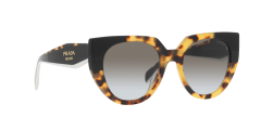 Prada  -  PR 14WS  01M0A7 - Orta koyulukta kaplumbağa kabuğu rengi/siyah