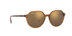 Ray-Ban  -  RB2195 - Thalia  663693 - Şeffaf kahverengi