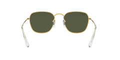 Ray-Ban  RB3857 - Frank  919658 - Altın rengi