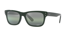 Ray-Ban  -  RB2283 - Mr burbank  6659G4  Polarized - Yeşi̇l
