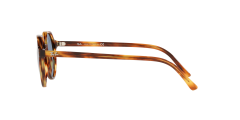 Ray-Ban  -  RB2195 - Thalia  954/62 - Çizgili havana