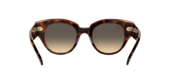Ray-Ban  -  RB2192 - Roundabout  1324BG - Şeffaf pembe üzeri havana