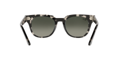 Ray-Ban  -  RB2168 - Meteor  133371 - Gri havana