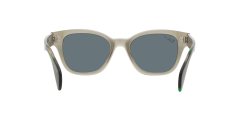 Ray-Ban  -  RB0880S  66353R Polarized - Şeffaf yeşil