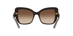 Dolce Gabbana  DG4348  316313 - Siyah üzeri leopar desenli kahverengi