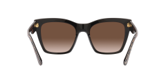 Dolce Gabbana  DG4384  316313 - Siyah üzeri leopar desenli kahverengi