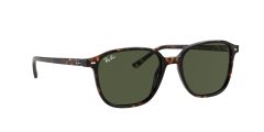 Ray-Ban  RB2193 - Leonard  902/31 - Tosbağa