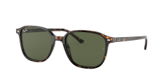 Ray-Ban  RB2193 - Leonard  902/31 - Tosbağa